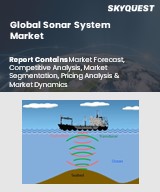 Global Sonar System Market