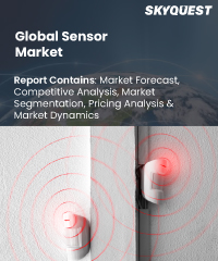 Global Sensor Market