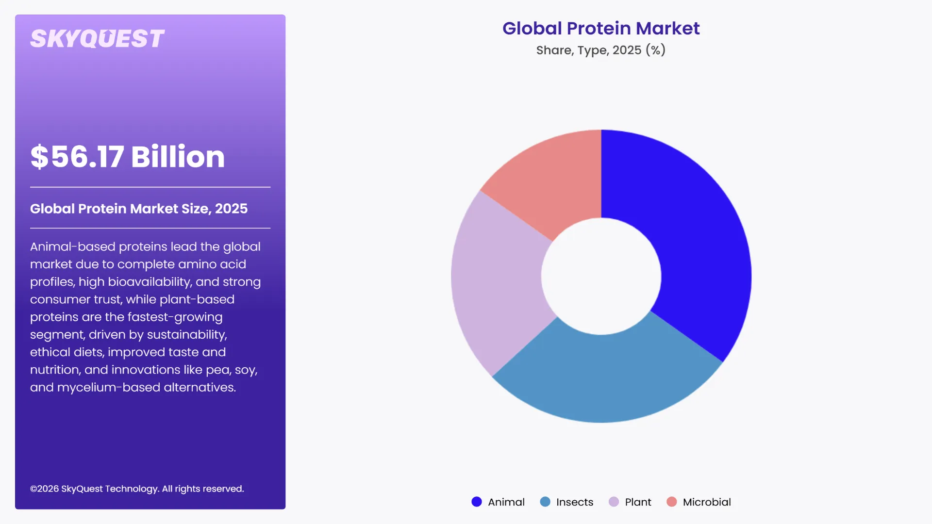 Protein Market Segments Analysis