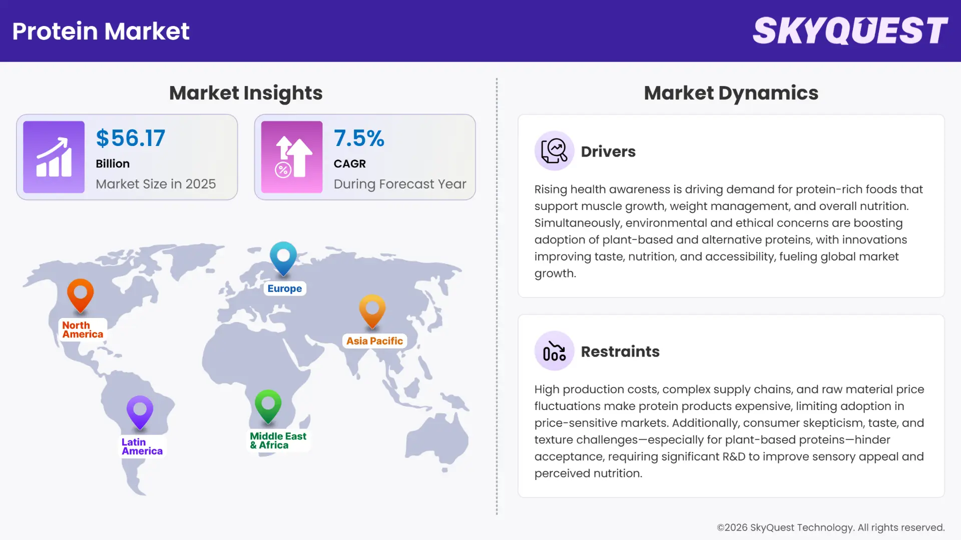 Protein Market Insights