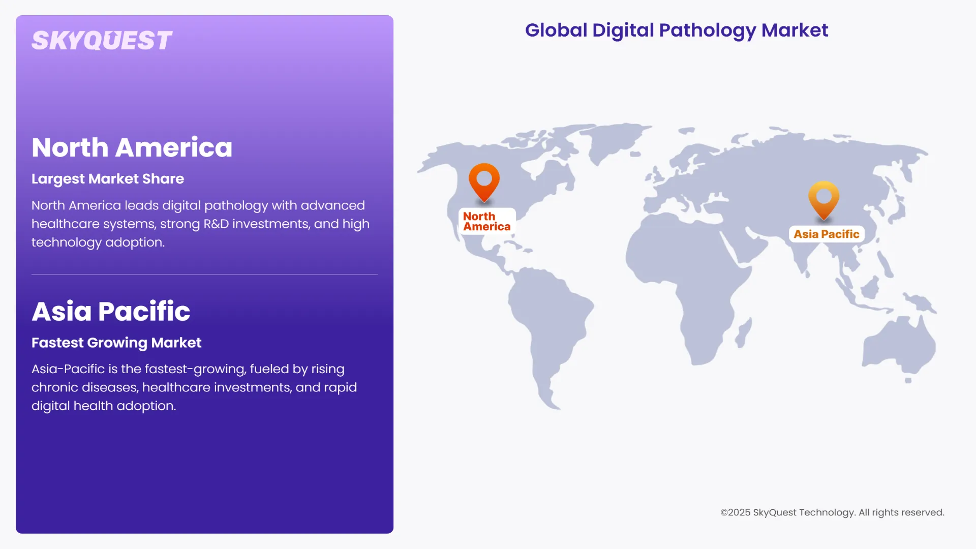 Digital Pathology Market Geographical Analysis
