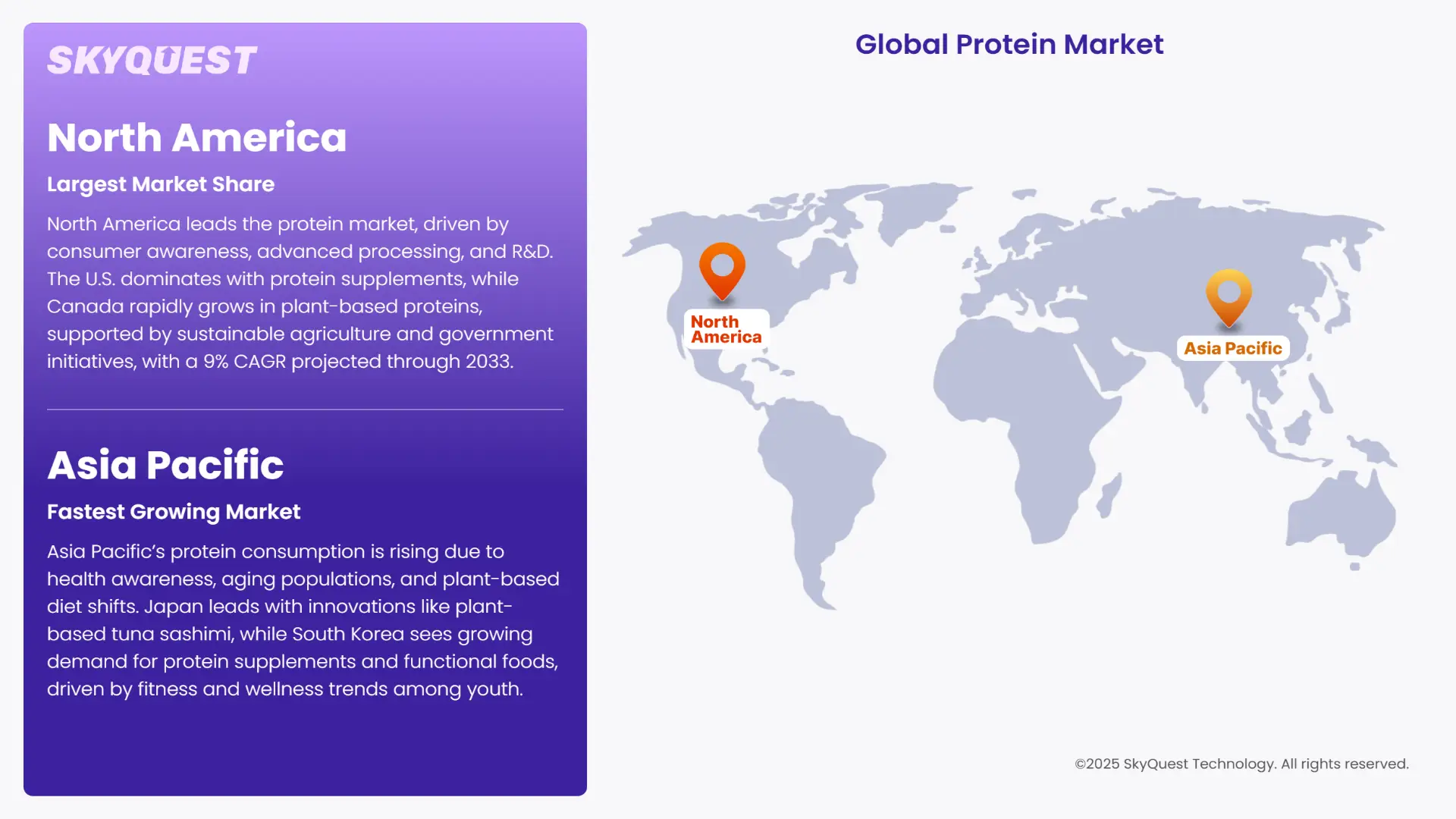 Protein Market Regional Insights